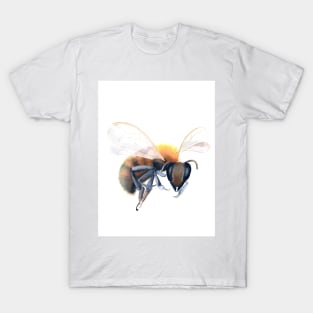 HoneyBee T-Shirt